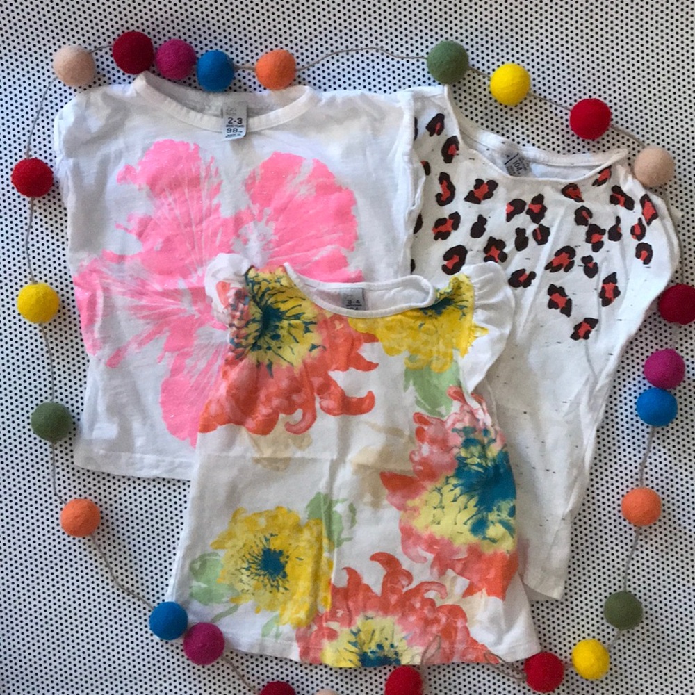 Zara tee bundle